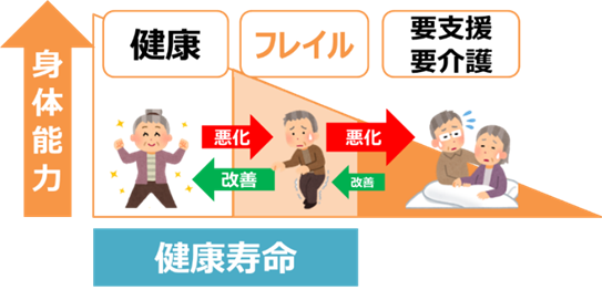 筋力や心身の活力の低下と健康寿命の関係