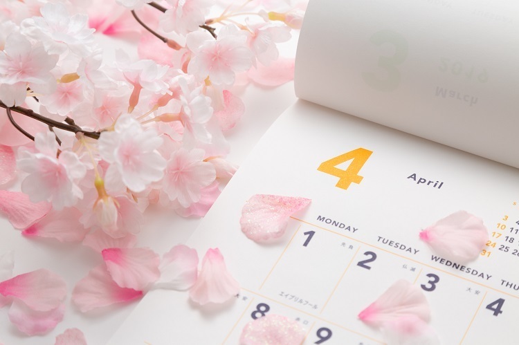 カレンダーと桜のイメージ