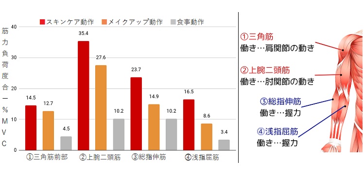 筋肉への負荷を表した図