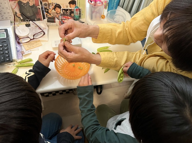 えんどう豆の剥き方を教える下坂さんの妻