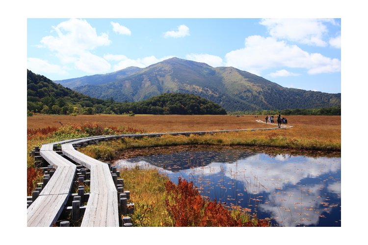紅葉に染まる尾瀬国立公園