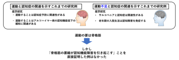 運動と認知症の関連を示すこれまでの研究例と、運動不足と認知症の関連を示すこれまでの研究例図表