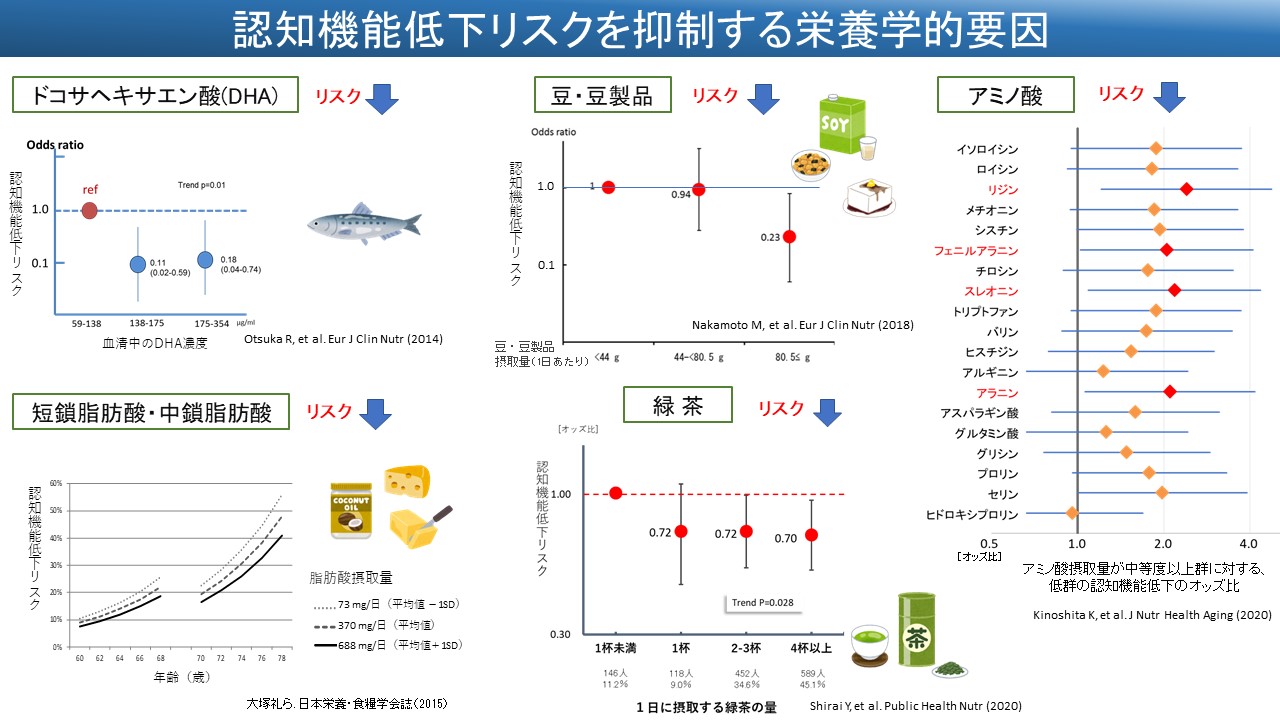 認知機能低下リスクを抑制する栄養学的要因の図