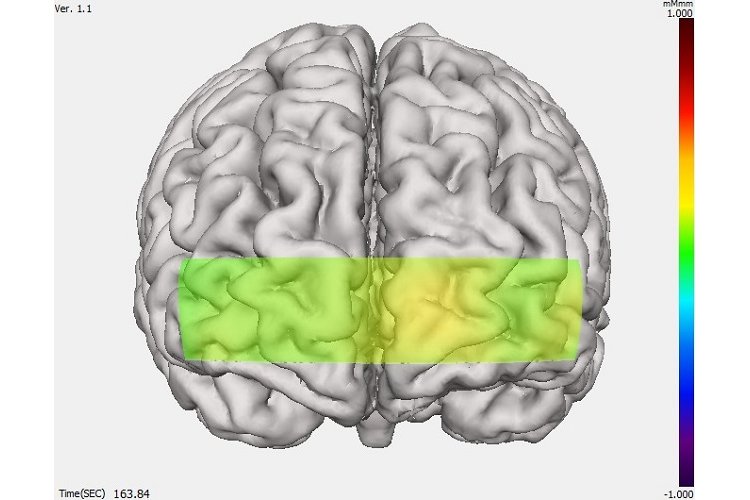 単調作業のときの脳の様子